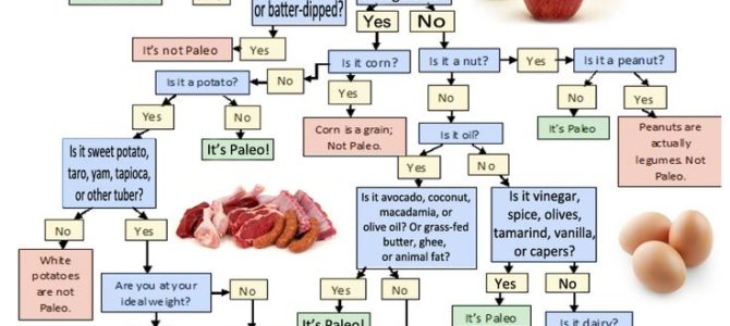 Paleo Diet Living